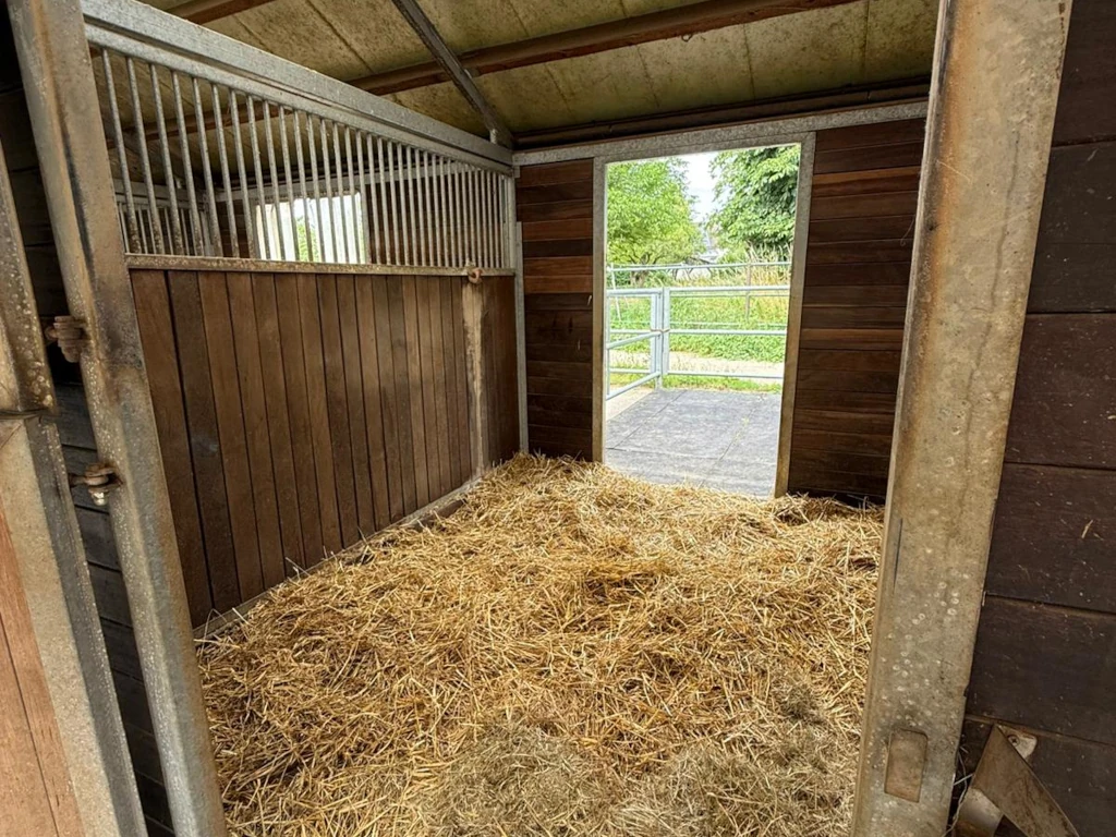 Merlbacher Hof - Paddock, innen