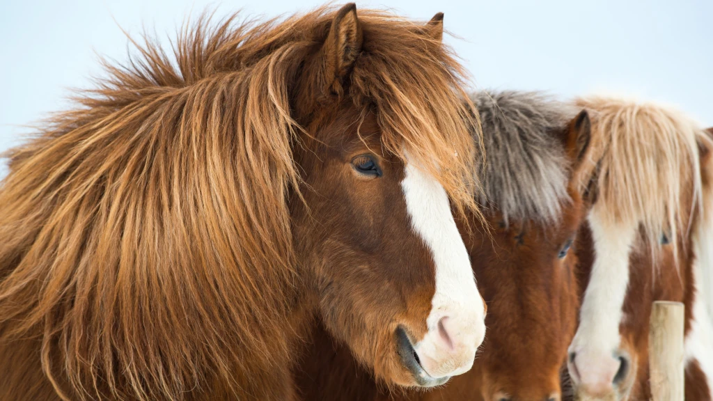 Merlbacher Hof - Symbolbild